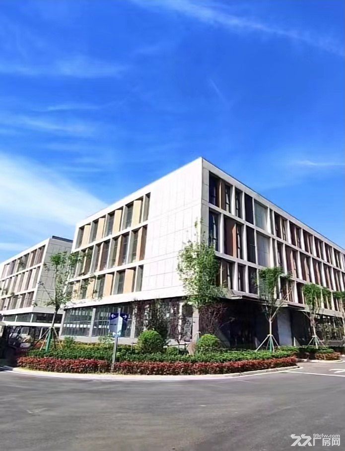 地铁口,层高8.1米,两层厂房,50年产权,可按揭可环评 - 3