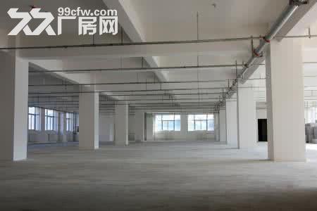 个人.江宁一楼2300平米仓库高8米可做加工厂房 - 5