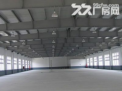 (出租) 个人.江宁科学园单层25000平米钢结构仓库可分租 - 4