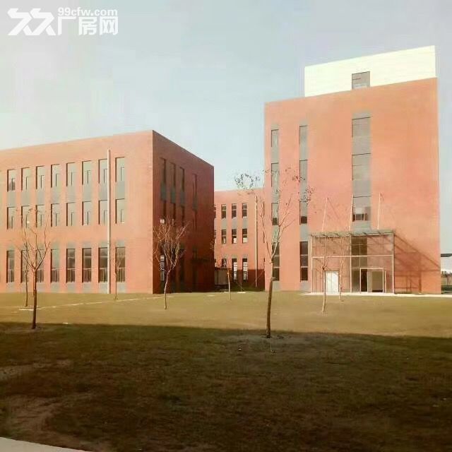 一手新厂 50年独立产权 证件齐全 户型灵活 满足所有中小企业需求
