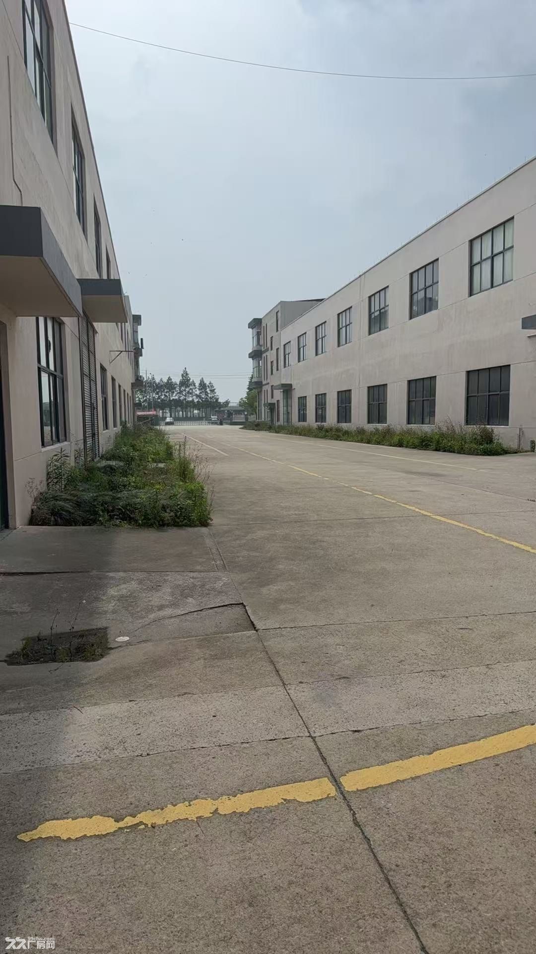 嘉善惠民开发区3000平，可架行车，配电按需 - 2