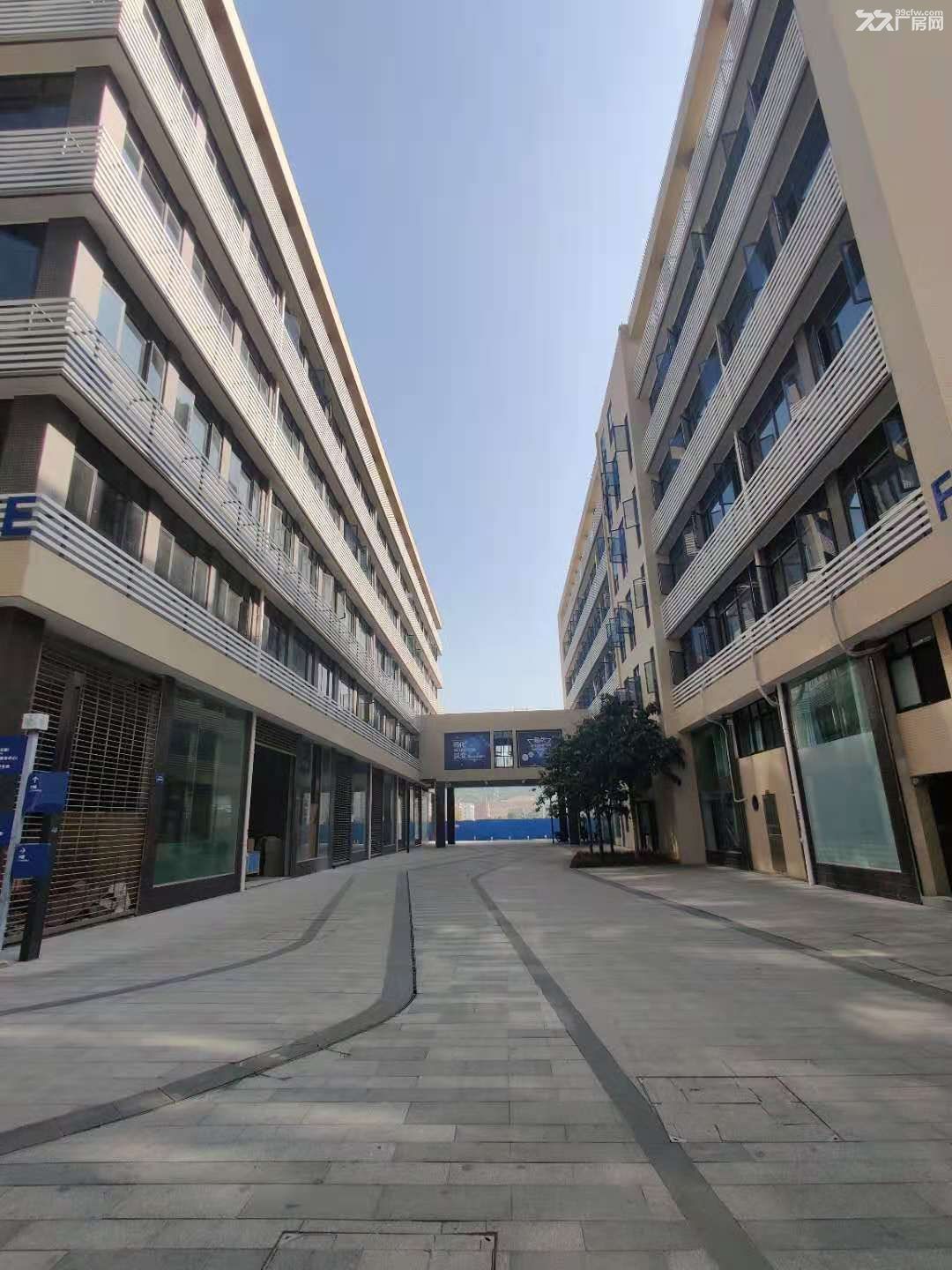 广州花都全新15万平高标仓库、厂房对外招租园区所有证件齐全，园区配套空地6万平 - 6