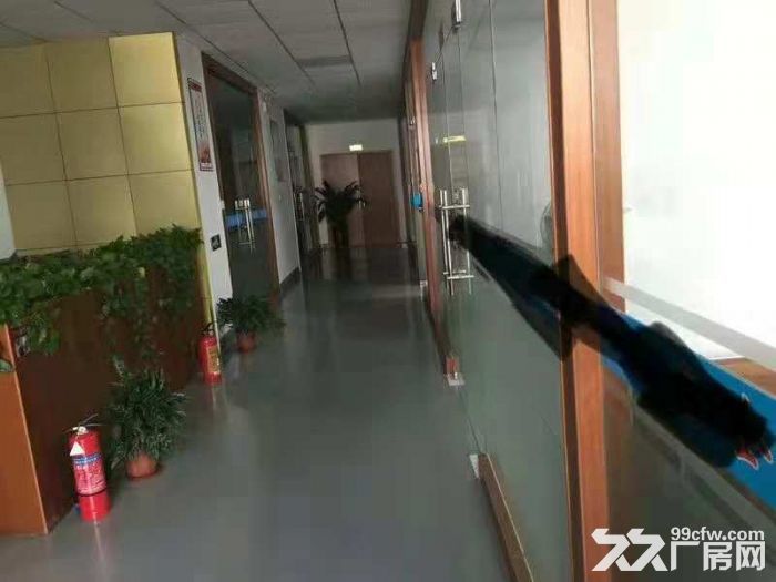 深圳光明高新区天王星科技园红本厂房出租招租 - 4