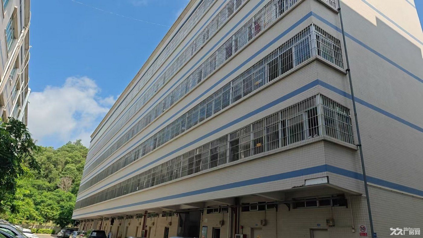 光明白花洞950㎡标准厂房、层高6米、承重1.5吨，租金 23元/㎡/月房东直租 - 5