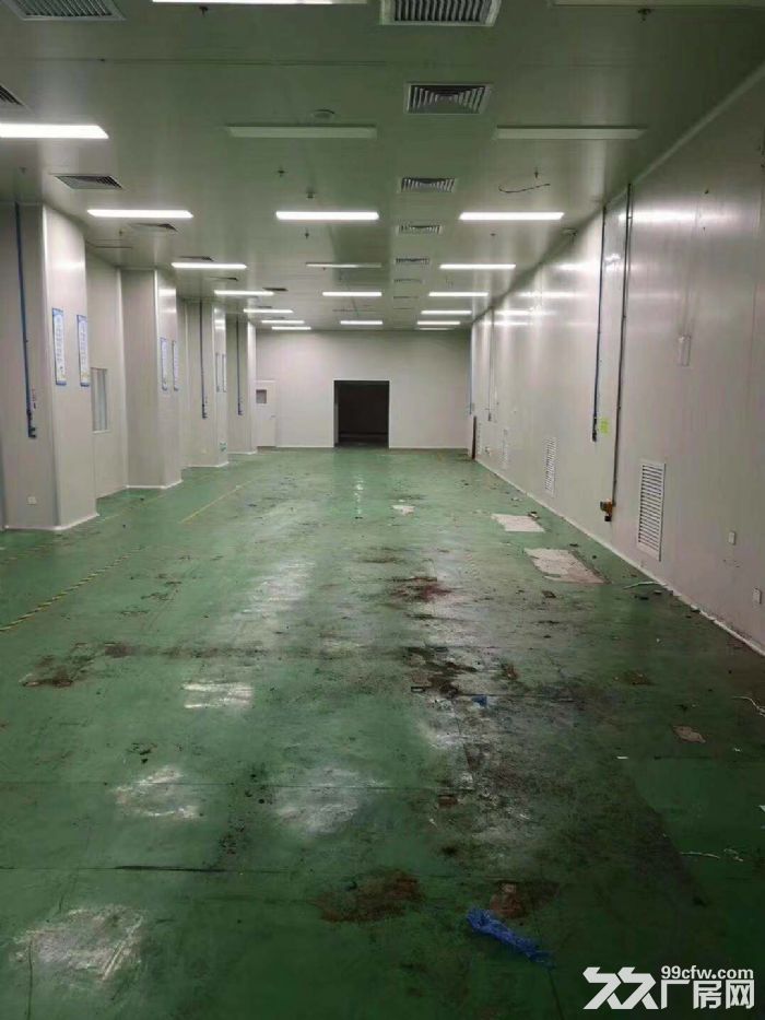 东莞市企石线路板厂房出租,不锈钢蚀刻厂,氧化厂、五金电镀、化工厂房出租, - 5
