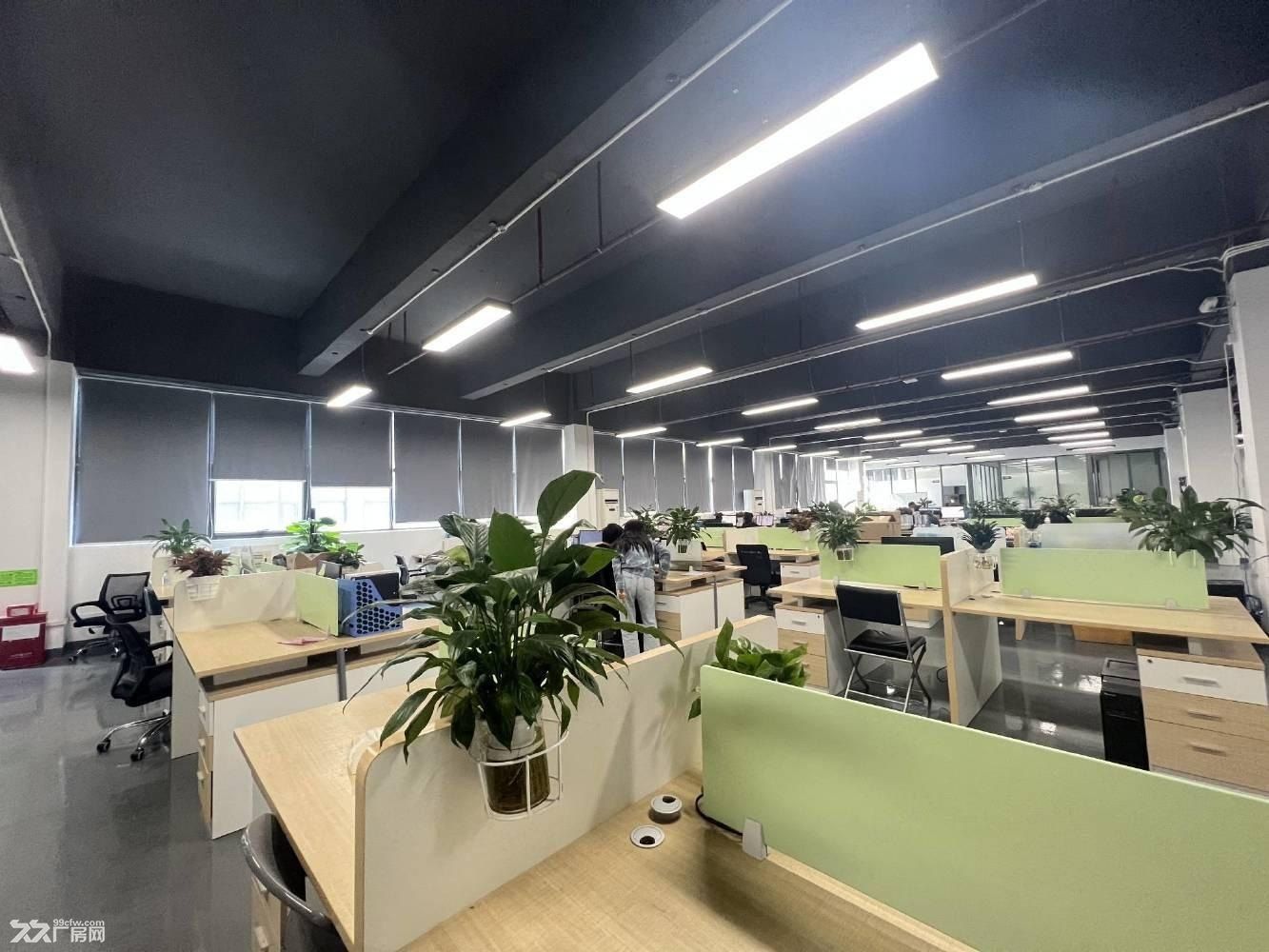 深圳龙华原房东红本可分租精装修低价厂房仓库无尘车间一楼上出租 - 3