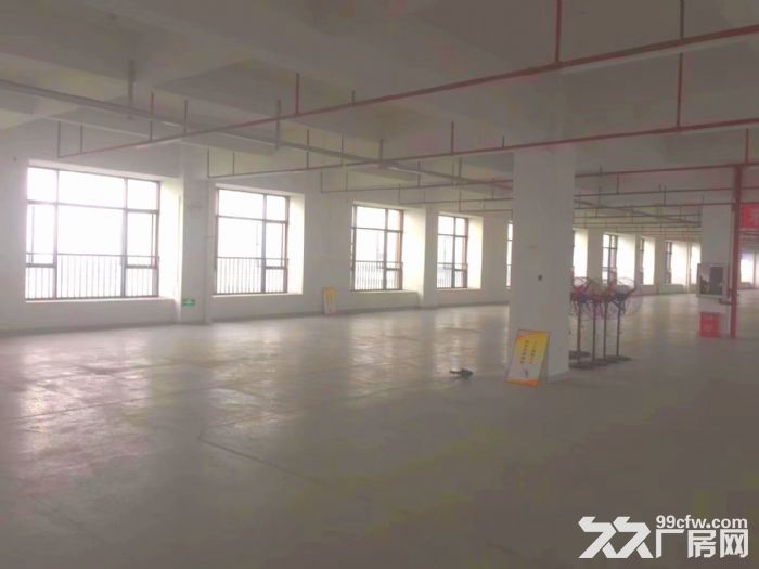 深圳光明高新区天王星科技园红本厂房出租招租 - 6