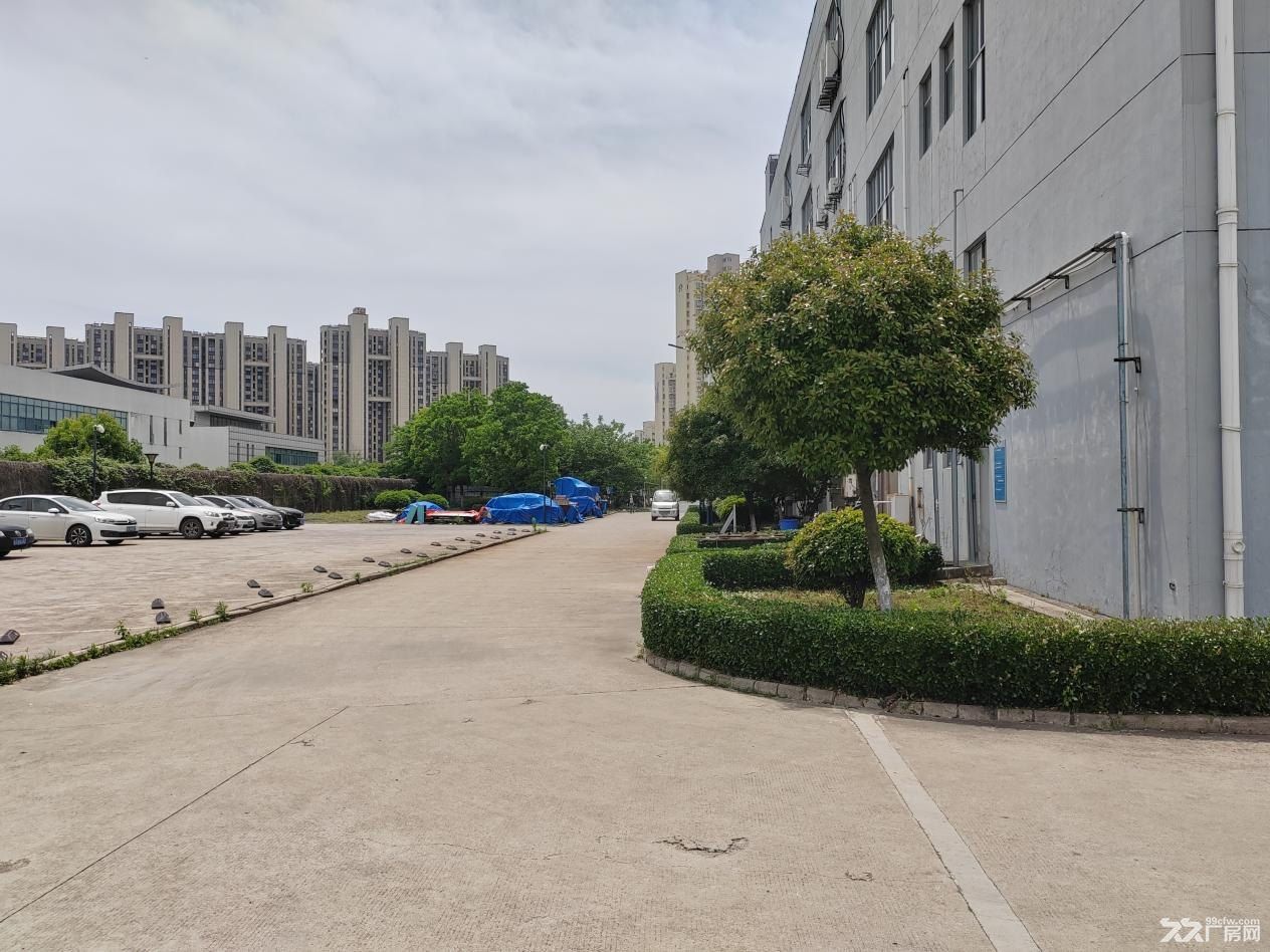原房东直租无中介 雨花区花园式1008办公厂房 - 4