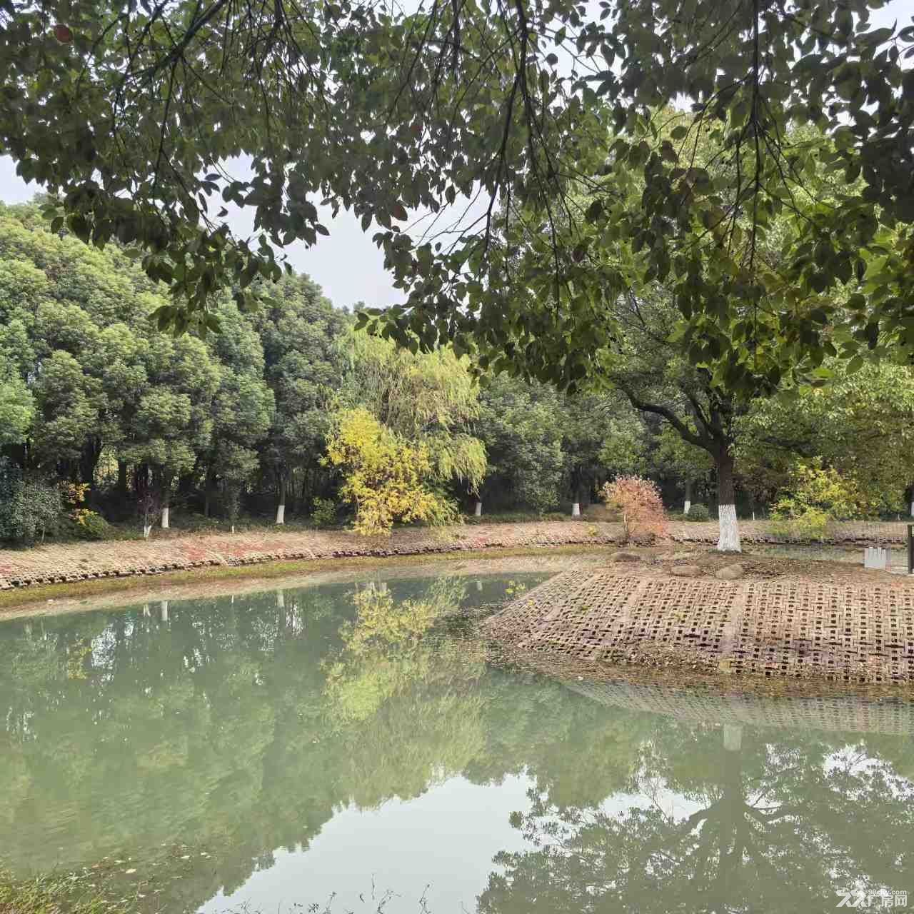江宁开发区优质厂房2620㎡+自带货梯+人货分流