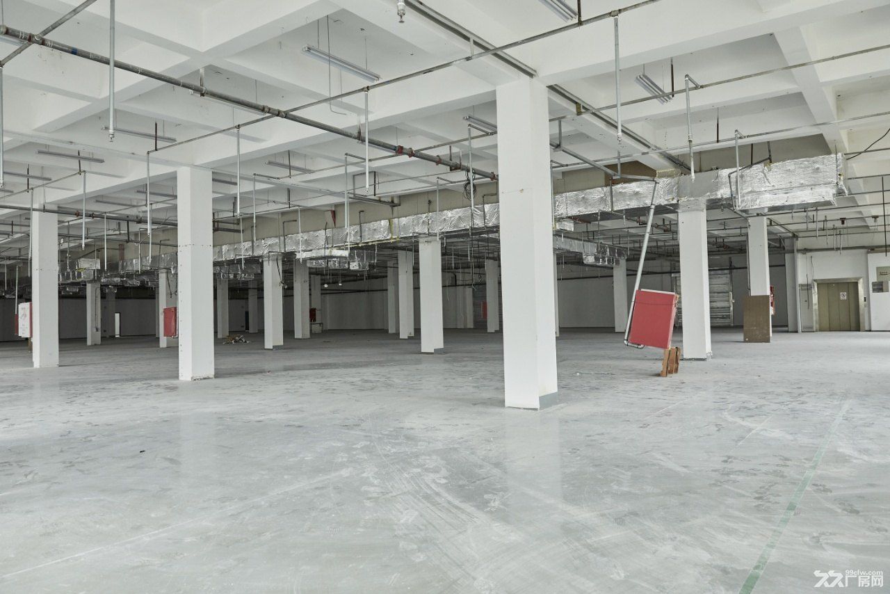江宁开发区优质厂房2620㎡+自带货梯+人货分流 - 6