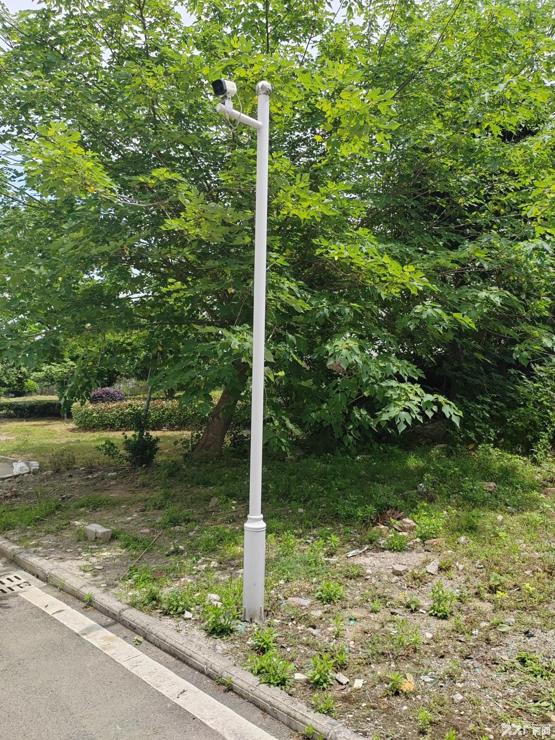 原房东直租无中介 雨花区花园式1008办公厂房 - 6