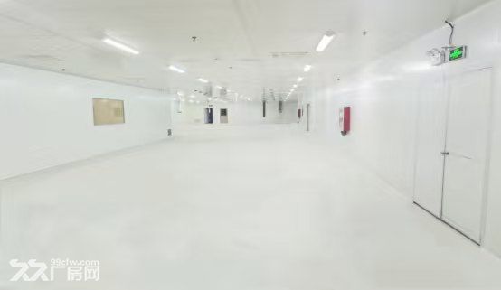 溧水 创维自有厂房 25000M2 可环评 可注册 - 5