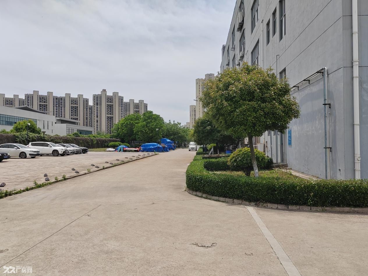原房东直租无中介 雨花区花园式1000办公厂房 - 2