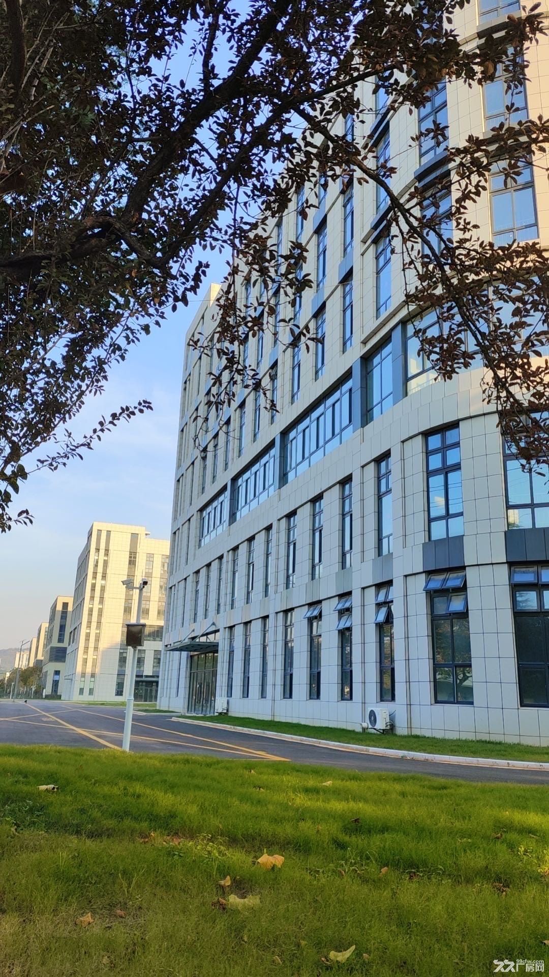 江宁经济开发区梅林产业园招租 - 4
