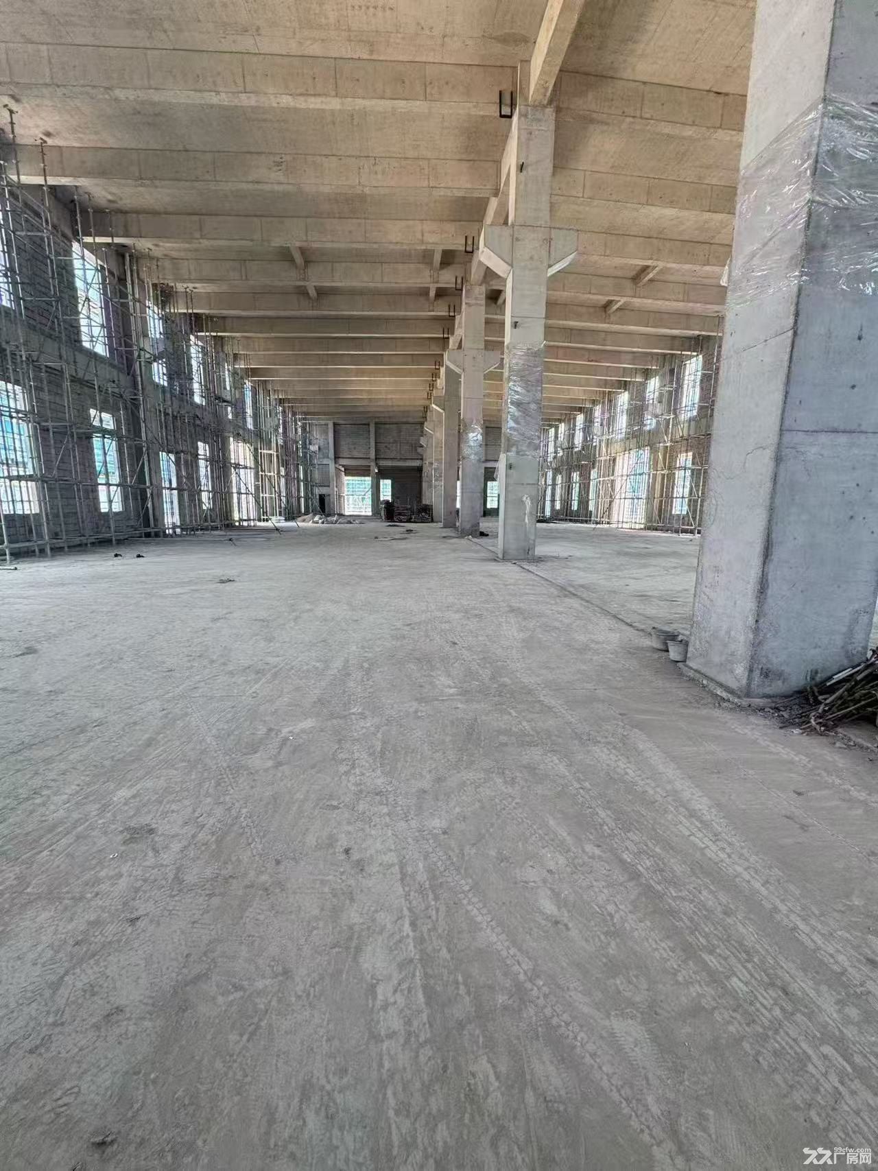 高新区8.1米两层独栋出售 - 6