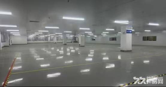 溧水 创维自有厂房 25000M2 可环评 可注册 - 3