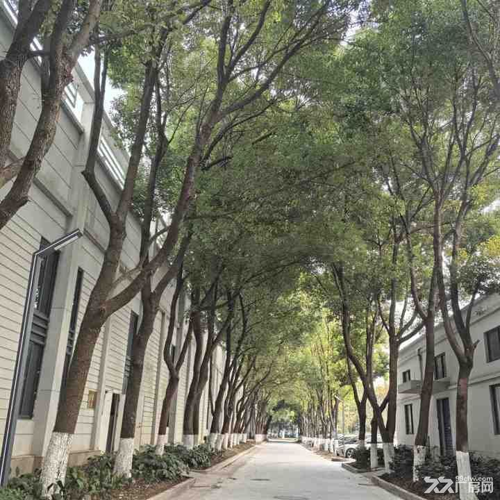 南京江宁九龙湖海尔曼斯产业园厂房/办公室招租 非中介 园区直租