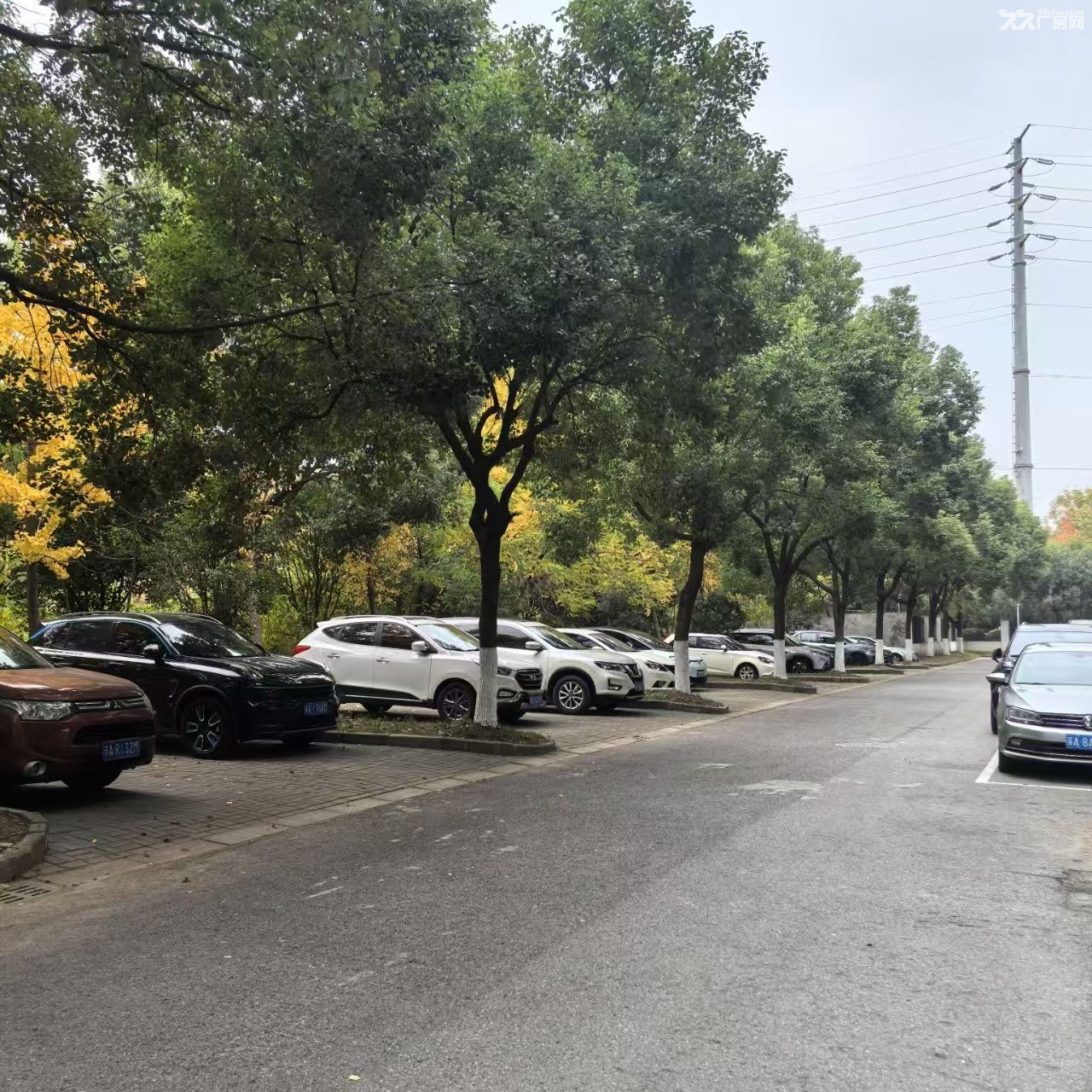 江宁开发区优质厂房2620㎡+自带货梯+人货分流 - 8