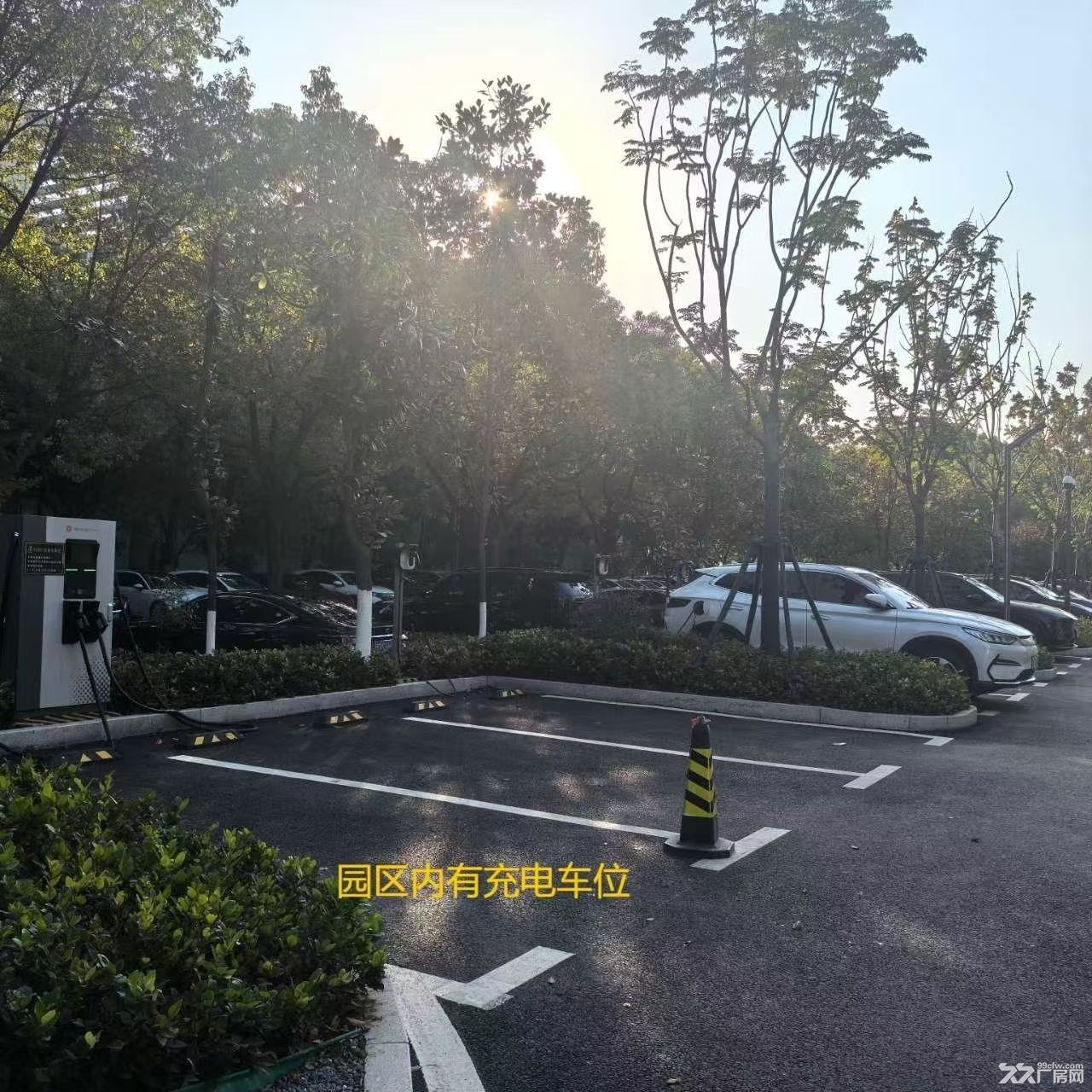 江宁开发区优质厂房2620㎡+自带货梯+人货分流 - 7
