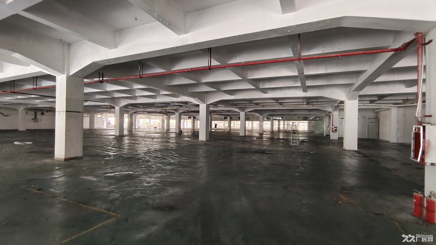 寮步一楼17000平方厂房出租,长度150米,宽度100米,园林式建筑,空地超大 - 5