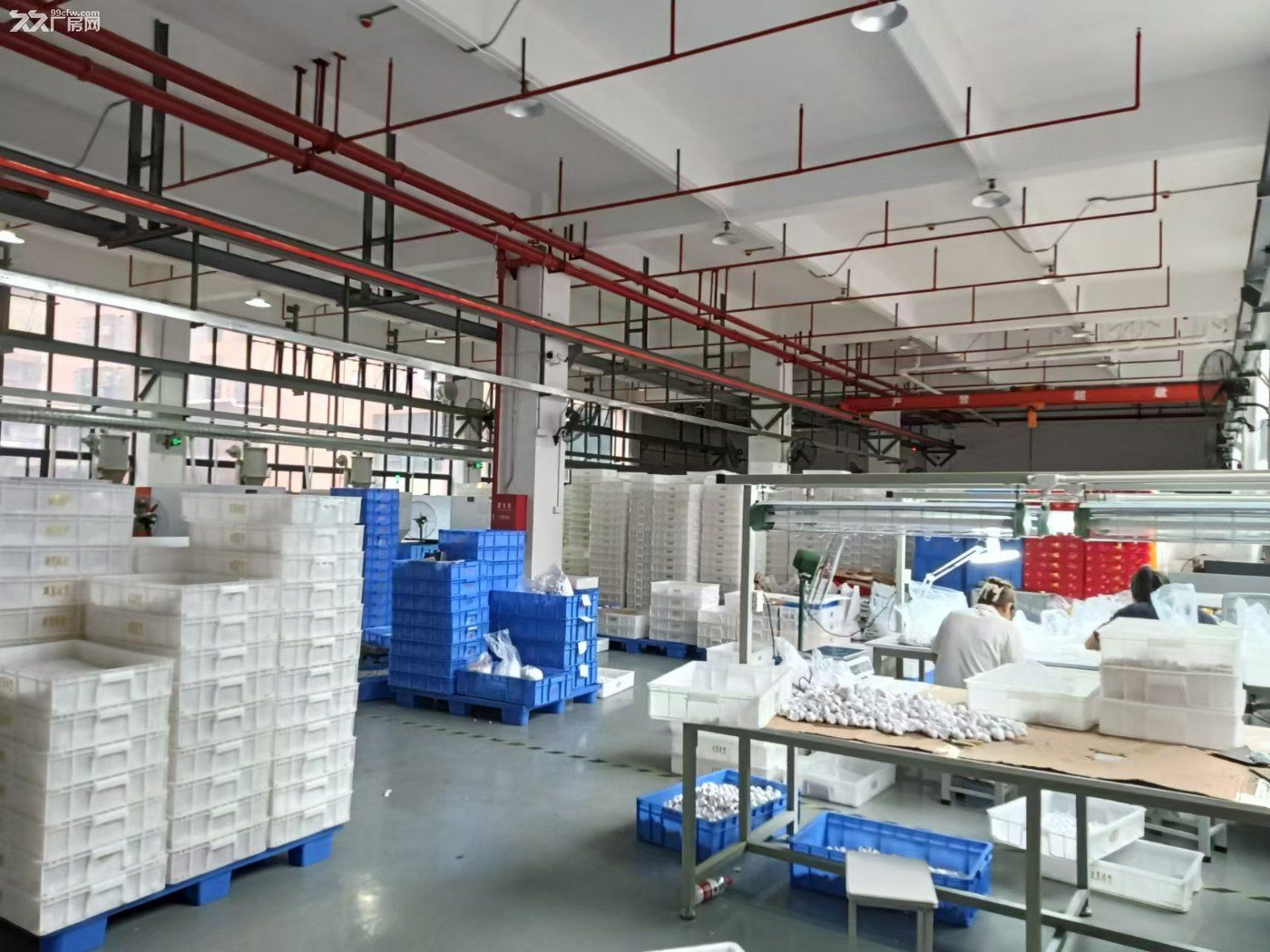 凤岗镇中心一楼厂房出租1300平 适合塑胶模具 五金 机械 - 4