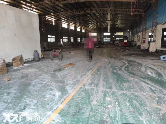 塘厦石潭布单一层独院钢构厂房出租2800平 近东深二线 - 2