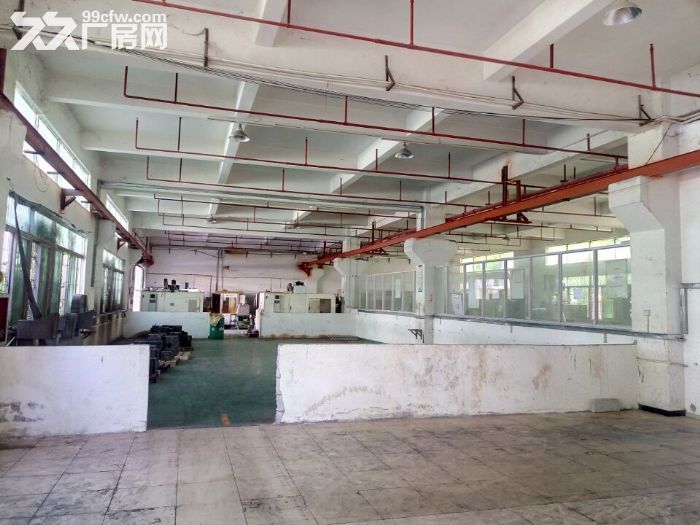 清溪三层独院厂房出租15000平方 空地大 - 4