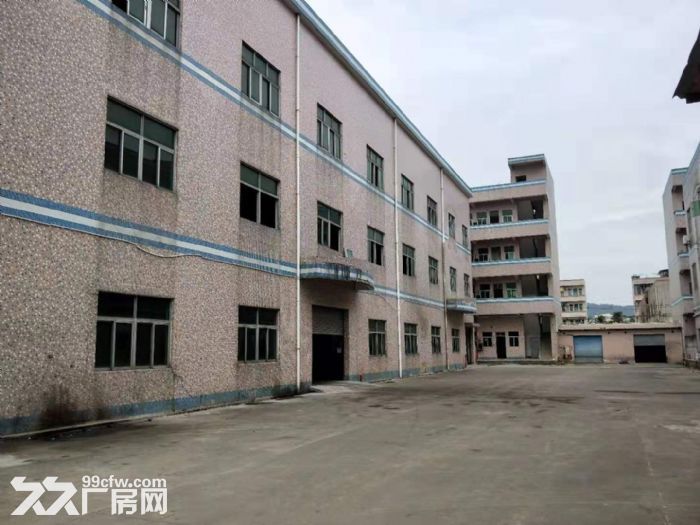 凤岗金凤凰出租一楼豪华办公室近东深二线厂房920平