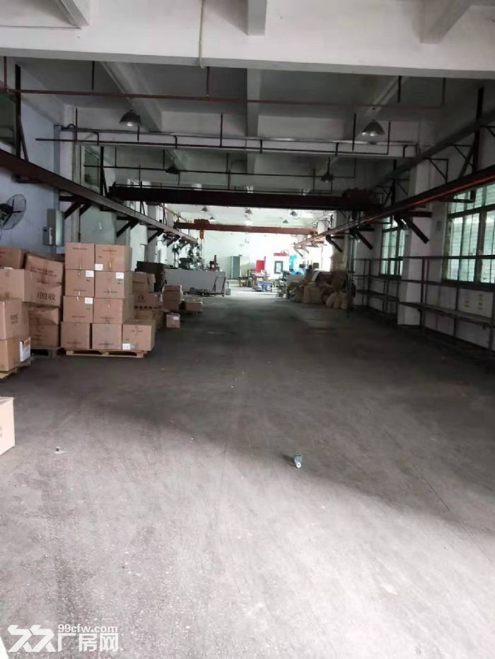 凤岗金凤凰出租一楼豪华办公室近东深二线厂房920平 - 2