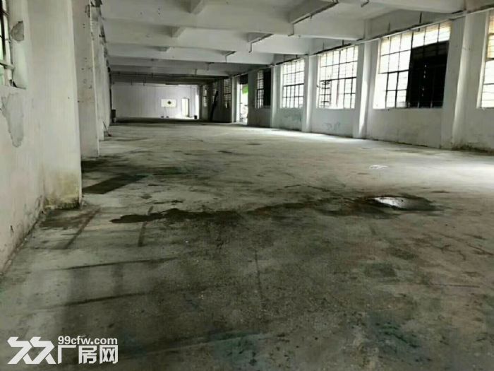 凤岗竹塘标准一楼厂房900平,适合各行业,带办公室 - 2