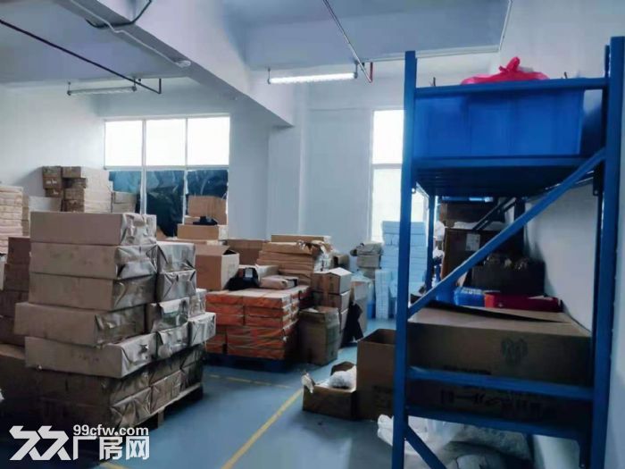 凤岗金凤凰便准一楼6米高厂房出租500平 带行车 水电齐全 - 4