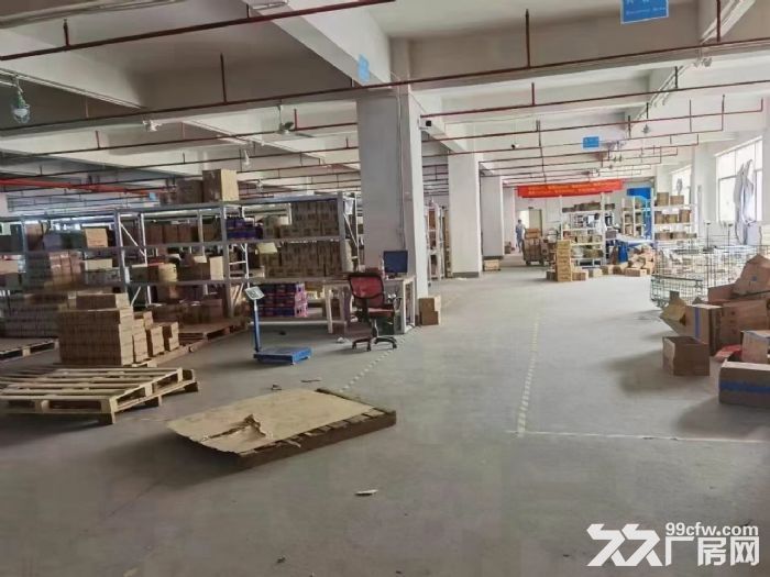 凤岗外环高速出口新出一楼5060平(层高6米)带卸货平台 - 4
