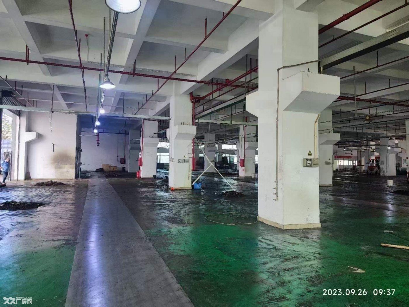 凤岗一楼标准厂房出租4300平 可分租 楼上也4300平