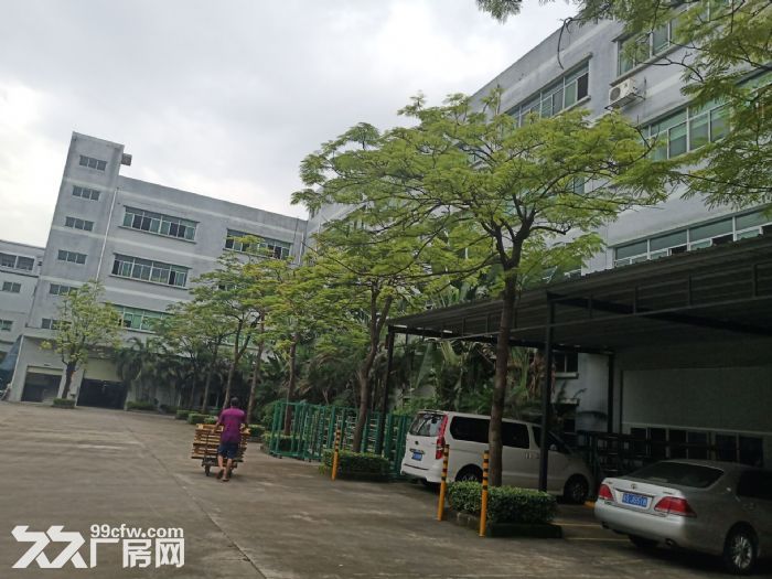 凤岗近沙岭车站对面标准一楼厂房出租1580平，可以分租