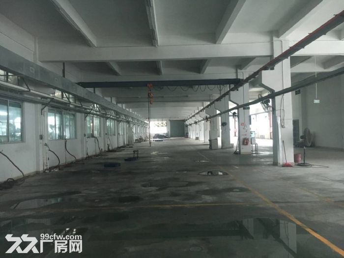 凤岗天堂围一楼标准厂房出租1200平 近观兰 - 2