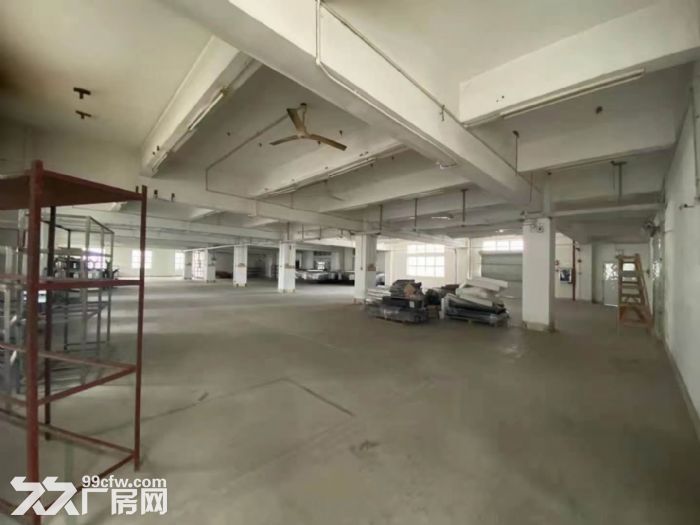 凤岗雁田五金 注塑 压铸 纸箱厂房出租4500平 可大小分租 - 2