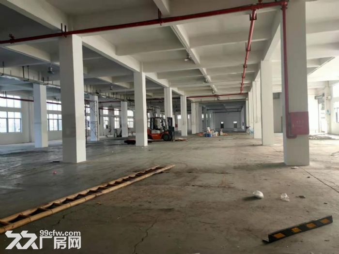 实际面积出租 凤岗标准一楼6米高厂房出租2000平 可办环评 - 5