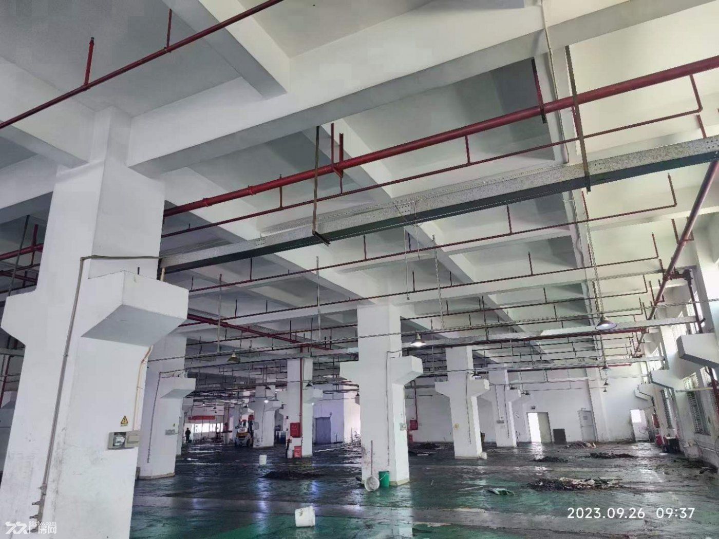 凤岗一楼标准厂房出租4300平 可分租 楼上也4300平 - 3