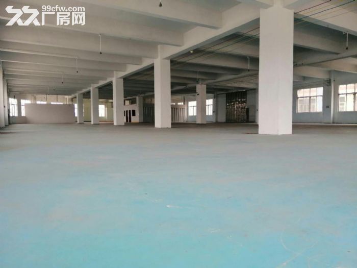 东莞望牛墩独院全新钢构厂房5200平米低价招租 - 2