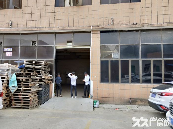 凤岗金凤凰价格便宜一楼厂房出租400平，现成水电 - 2