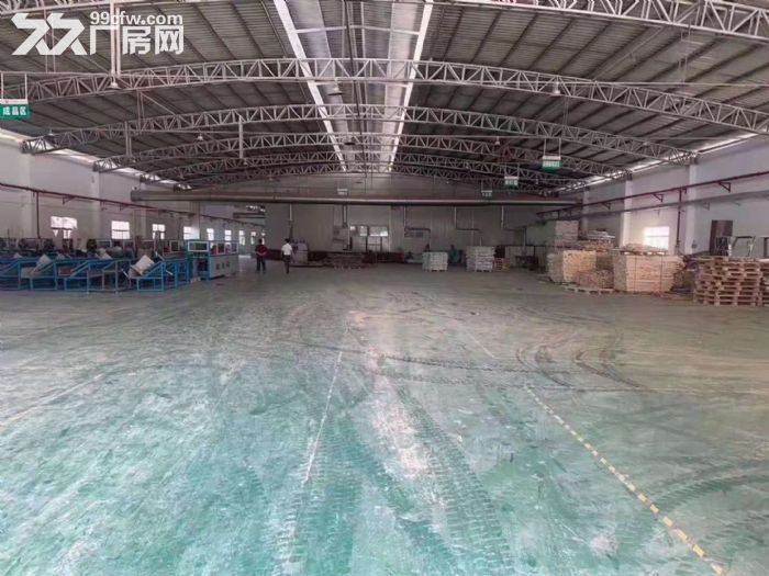 塘厦横塘独院钢构仓库/厂房出租4500平 适塑胶五金印刷