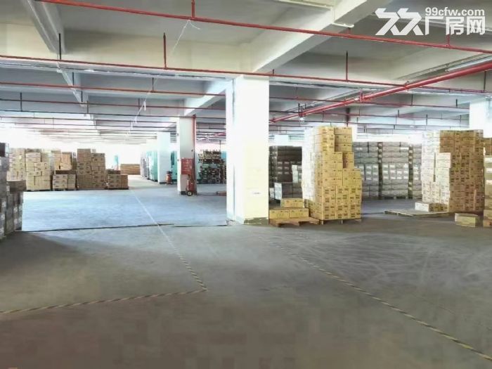 凤岗外环高速出口新出一楼5060平(层高6米)带卸货平台 - 2