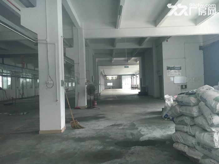 凤岗天堂围一楼标准厂房出租1200平 近观兰 - 3
