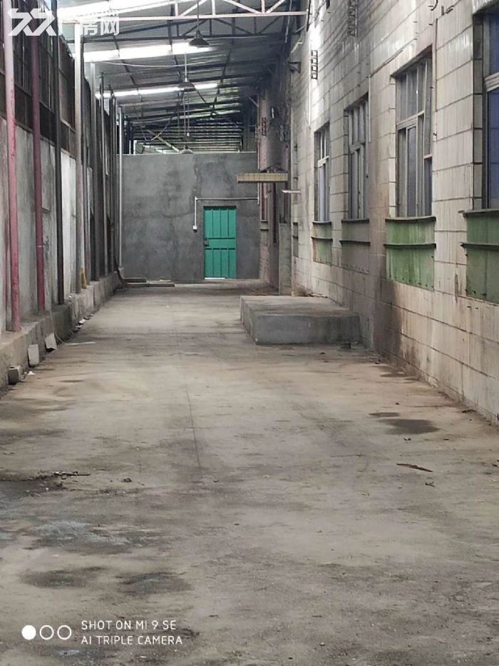 塘厦莲湖一楼厂房出租1000平 有牛腿 现成模房 - 3