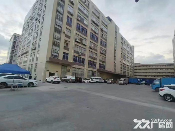 凤岗外环高速出口新出一楼5060平(层高6米)带卸货平台 - 3