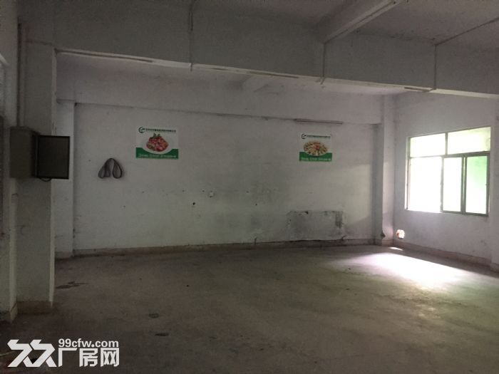 清溪九乡出租一楼小面积150平 模具、印刷、仓库 - 3