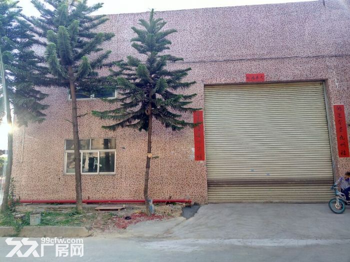 凤岗五联安佳附近单一层独栋钢构厂房出租600平方