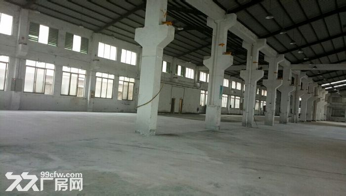 清溪镇中心新出全新单一层钢构厂房2500方滴水9米