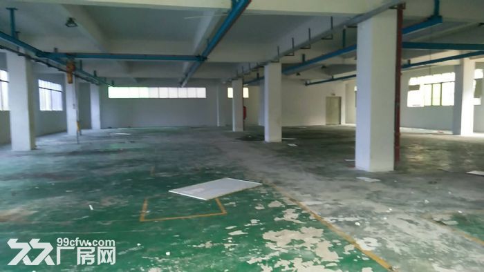 清溪三中招租一楼标准厂房1100平 带现成行车 - 4