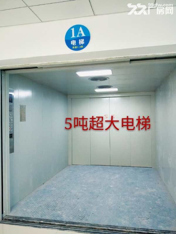 常平镇桥沥村全新独门独院厂房正式招租 大小可分组 - 3